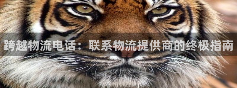 28圈反水
