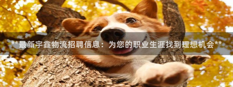 28圈加拿大在线预测