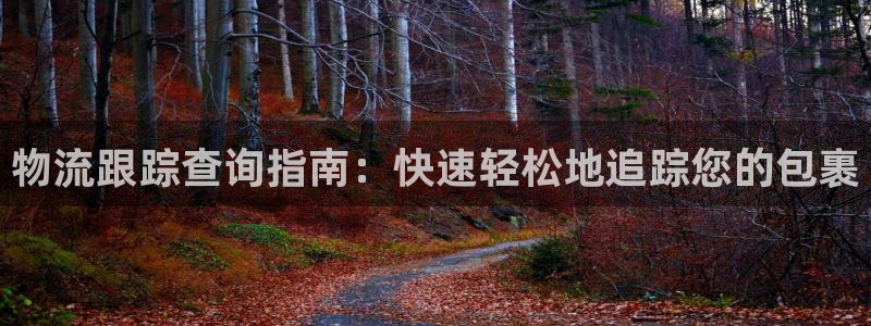 28圈注册网站链接是什么：物流跟踪查