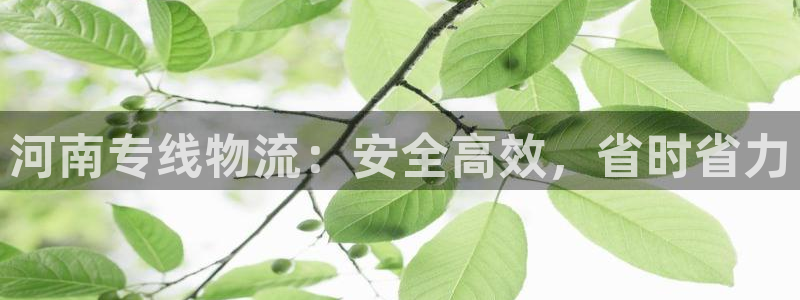 28圈为什么没有赢过一次