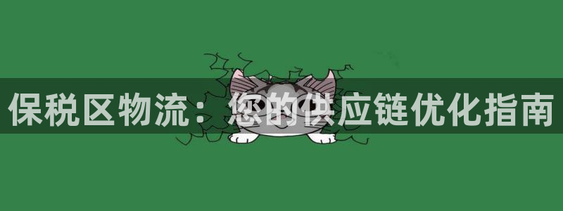 28圈代理落网