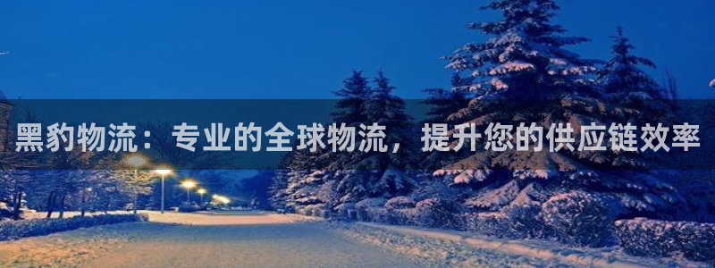 28圈官方