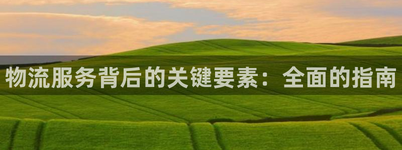 28圈预测：物流服务背后的关键要素：