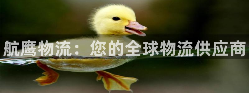 28圈麻将：航鹰物流：您的全球物流供