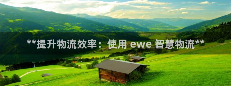 28圈开奖预测：**提升物流效率：使