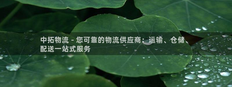 28圈娱乐官网网页入口：中拓物流 -