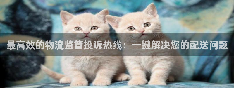 28圈玩法：最高效的物流监管投诉热线