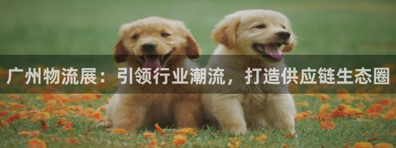 28圈反水：广州物流展：引领行业潮流