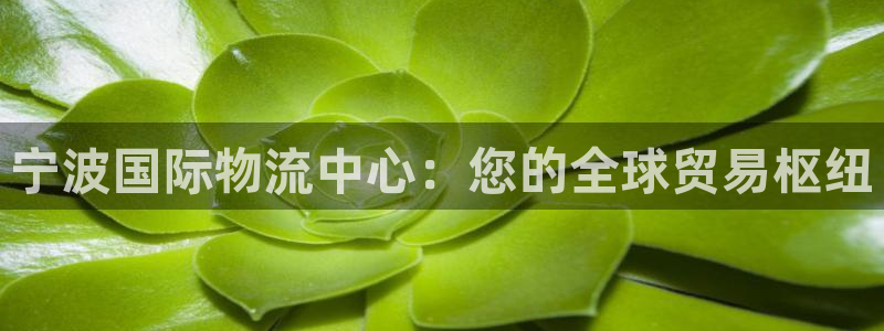 28圈和南宫28什么关系：宁波国际物