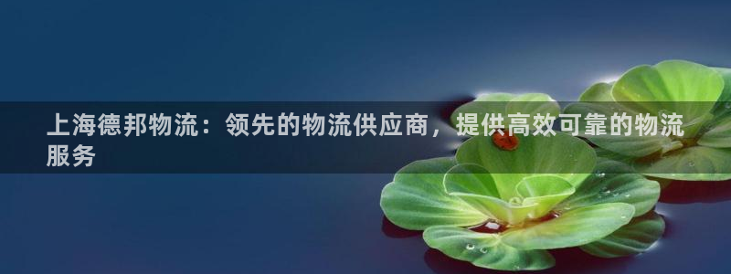 28圈是正规软件吗：上海德邦物流：领