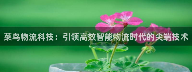 28圈能赢钱吗：菜鸟物流科技：引领高