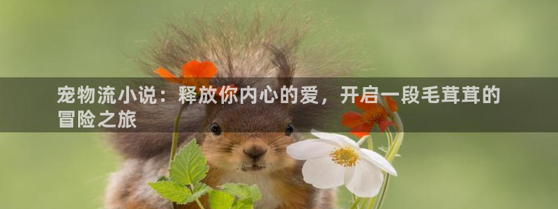 28圈反水怎么算
