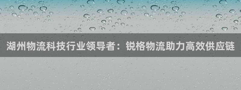 28圈怎么下载：湖州物流科技行业领导