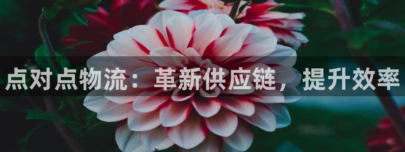 28圈注册条件：点对点物流：革新供应