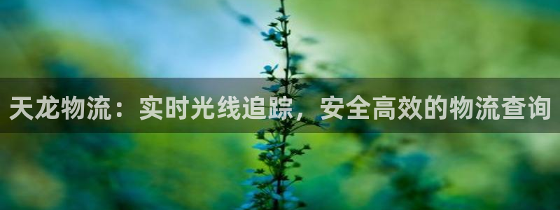28圈官网链接