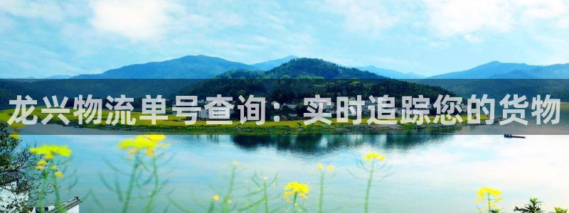 28圈.ccmpc29官网版：龙兴物