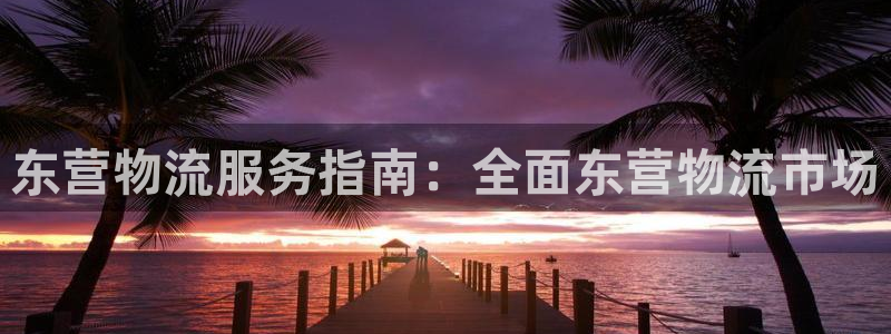 28圈加拿大模拟器：东营物流服务指南