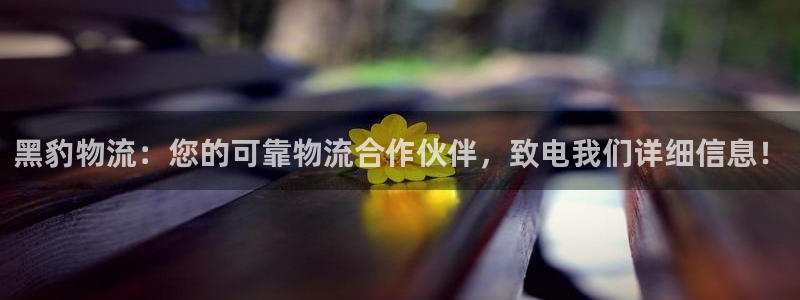 28圈口内径是多大：黑豹物流：您的可