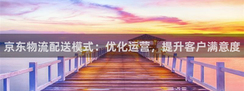 28圈能提现吗：京东物流配送模式：优