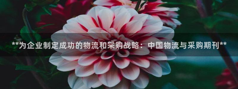28圈游戏官网入口