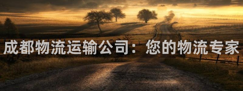 28圈软件是什么：成都物流运输公司：