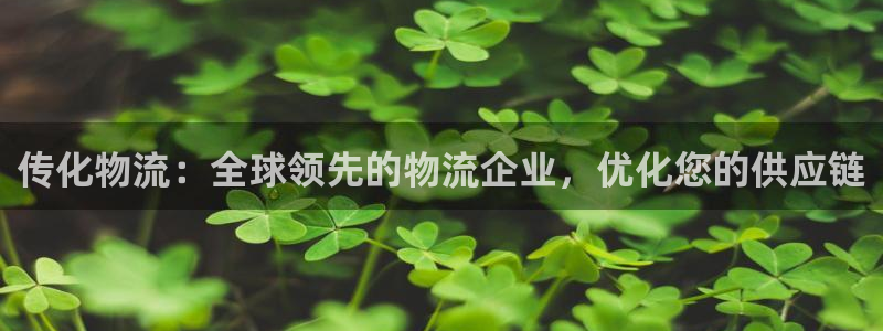 28圈注册地址：传化物流：全球领先的
