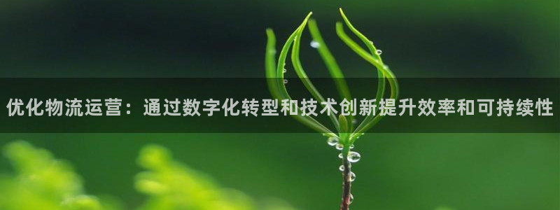 28圈可靠吗