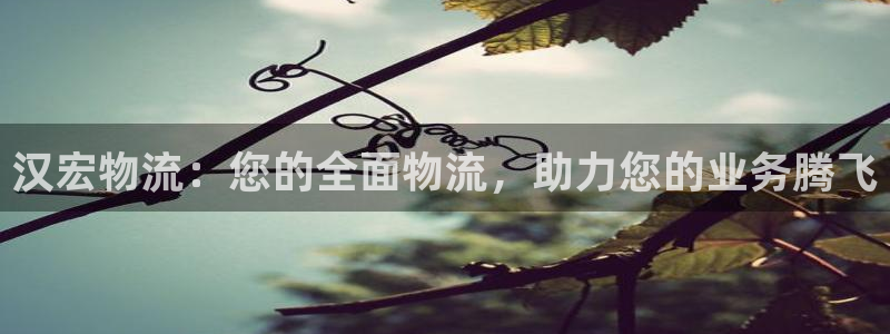 28圈百度百科：汉宏物流：您的全面物流，助力您的业务腾飞