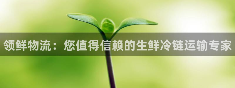 28圈注册网站加拿大：领鲜物流：您值得信赖的生鲜冷链运输专家