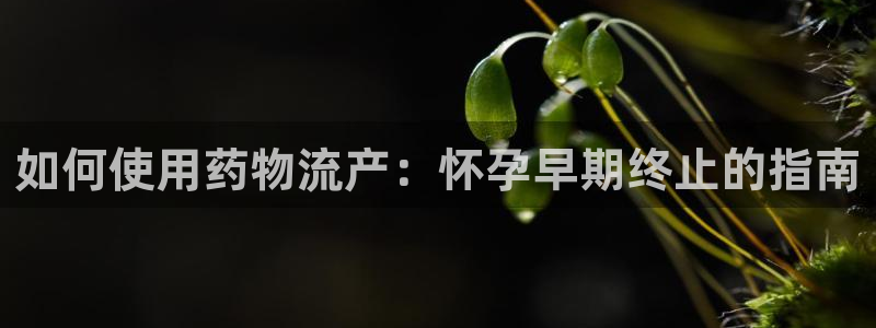 28圈.ccmpc29官网版：如何使