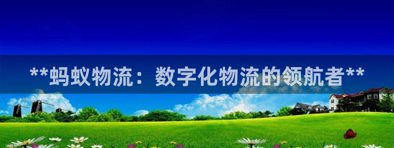 28圈人头费：**蚂蚁物流：数字化物