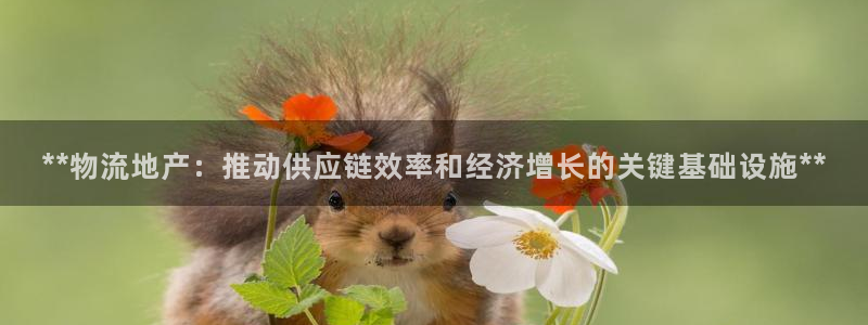 28圈登录网：**物流地产：推动供应