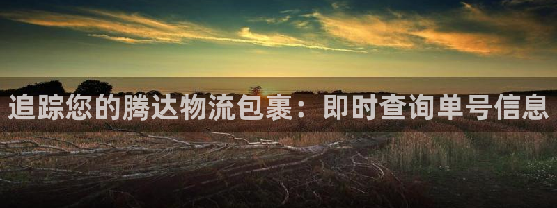 28圈娱乐官网网页下载：追踪您的腾达