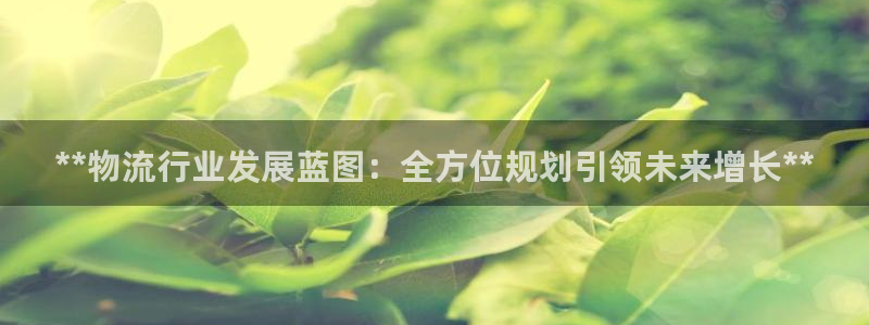 28圈口：**物流行业发展蓝图：全方