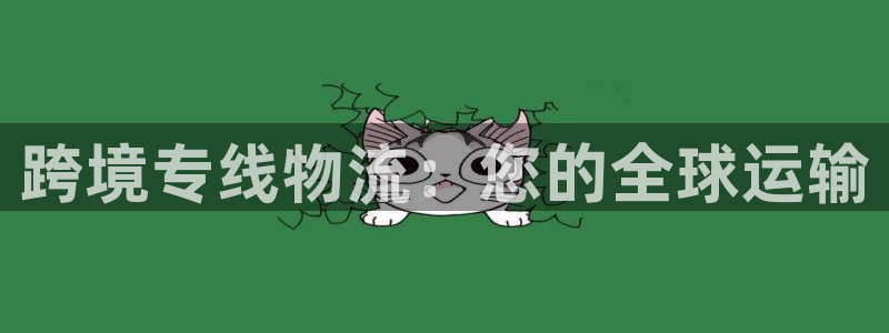 28圈反水怎么算：跨境专线物流：您的
