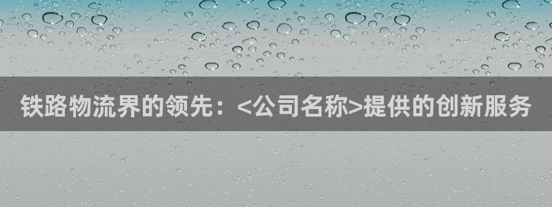 28圈麻将：铁路物流界的领先：<公司