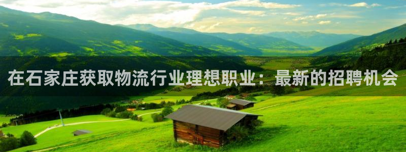 28圈注册地址：在石家庄获取物流行业