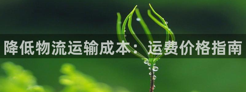 28圈注册：降低物流运输成本：运费价