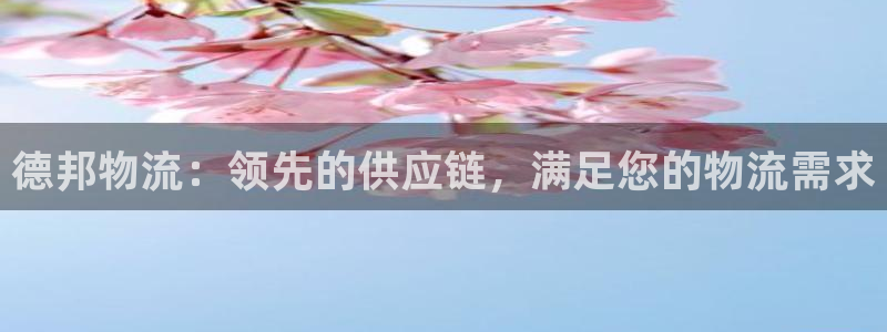 28圈注册网页版：德邦物流：领先的供