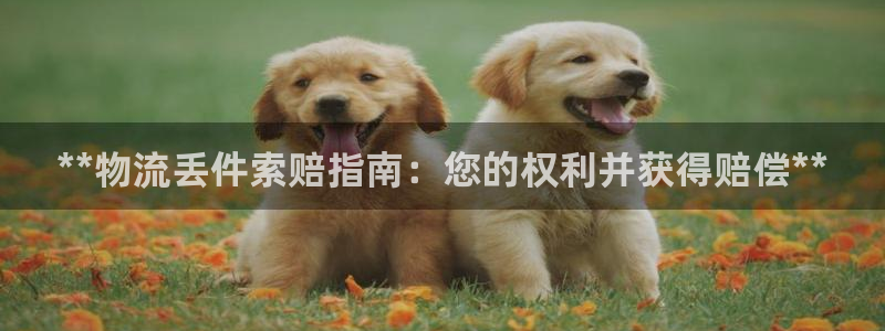 28圈加拿大预测：**物流丢件索赔指