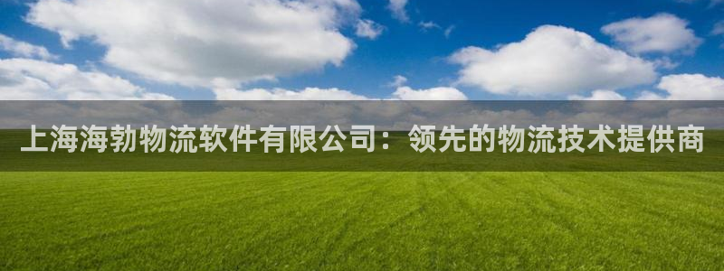 28圈现在狂杀：上海海勃物流软件有限