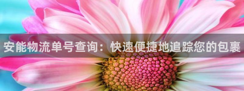 28圈起来的符号：安能物流单号查询：