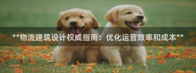 28圈游戏：**物流建筑设计权威指南