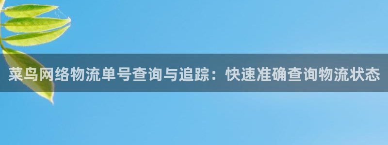 28圈麻将胡了爆分视频：菜鸟网络物流