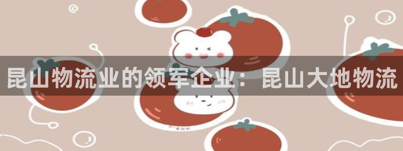 28圈游戏链接：昆山物流业的领军企业