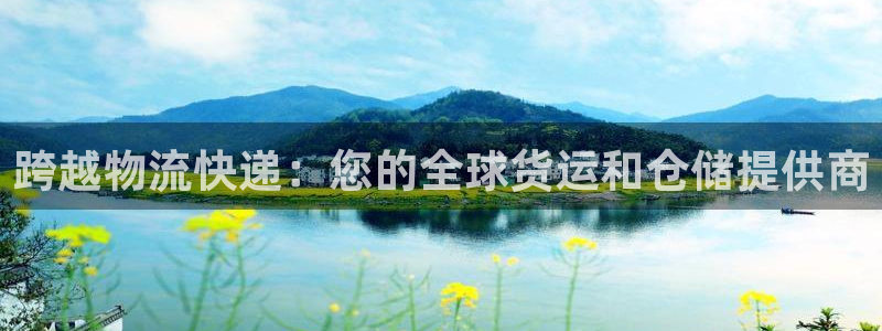 麻将128圈：跨越物流快递：您的全球
