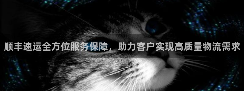 28圈那个才是充值账号