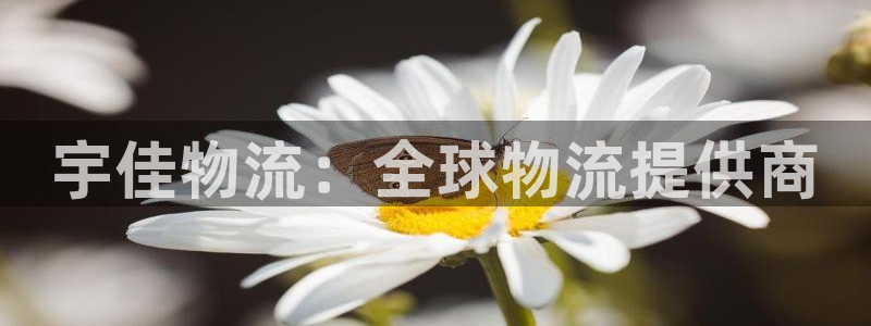 28圈反水