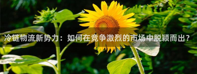 28圈游戏最新版