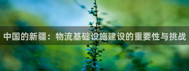 28圈.ccmo
